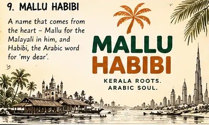 Mallu Habibi